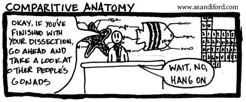 Comparative Anatomy