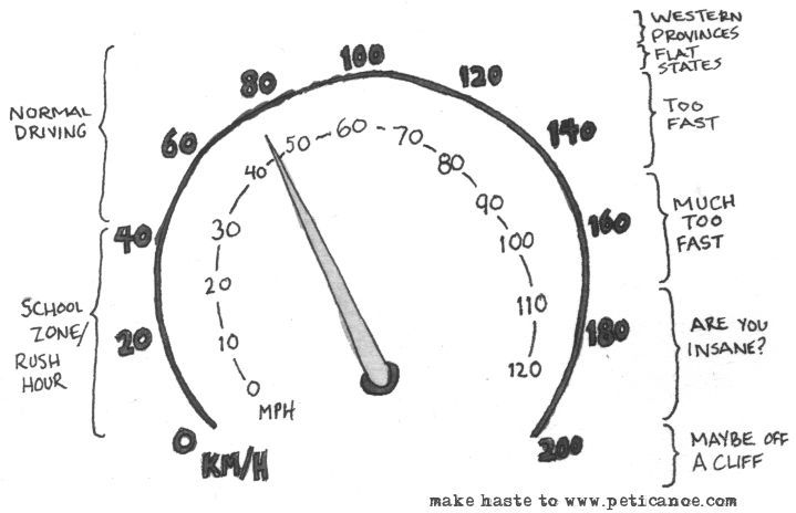 Uses Of The Sections Of The Speedometer